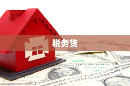 清溪税务贷