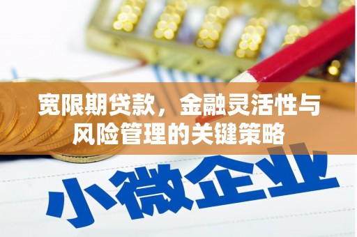 清溪宽限期贷款，金融灵活性与风险管理的关键策略