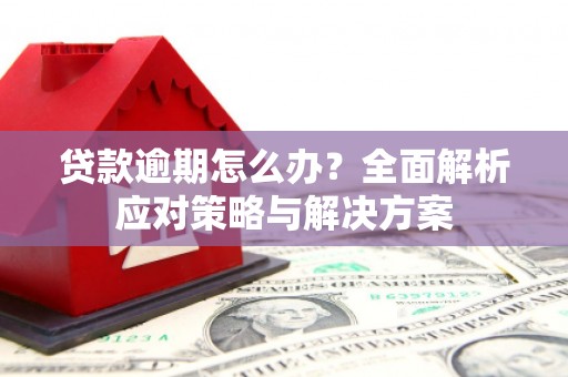 清溪贷款逾期怎么办？全面解析应对策略与解决方案