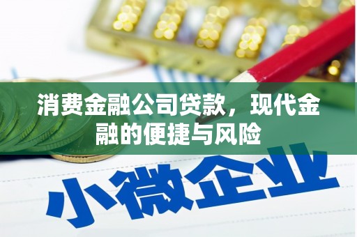 清溪消费金融公司贷款，现代金融的便捷与风险