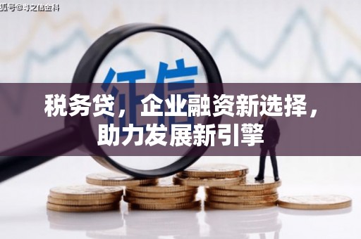 清溪税务贷，企业融资新选择，助力发展新引擎