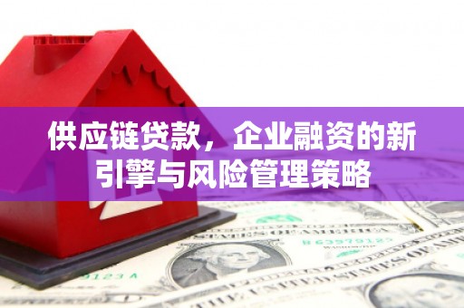 清溪供应链贷款，企业融资的新引擎与风险管理策略