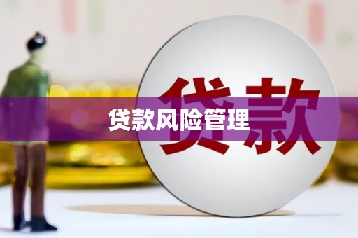 清溪贷款风险管理