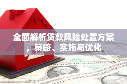清溪全面解析贷款风险处置方案，策略、实施与优化