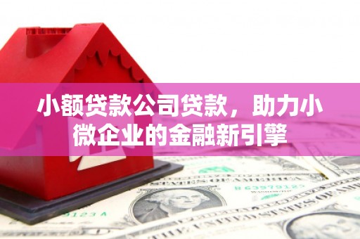 清溪小额贷款公司贷款，助力小微企业的金融新引擎