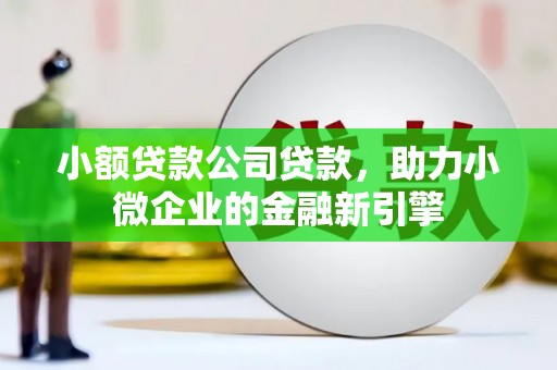 清溪小额贷款公司贷款，助力小微企业的金融新引擎