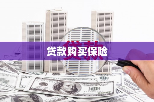 清溪贷款购买保险
