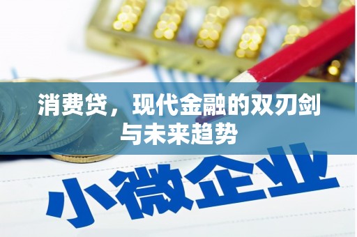 清溪消费贷，现代金融的双刃剑与未来趋势